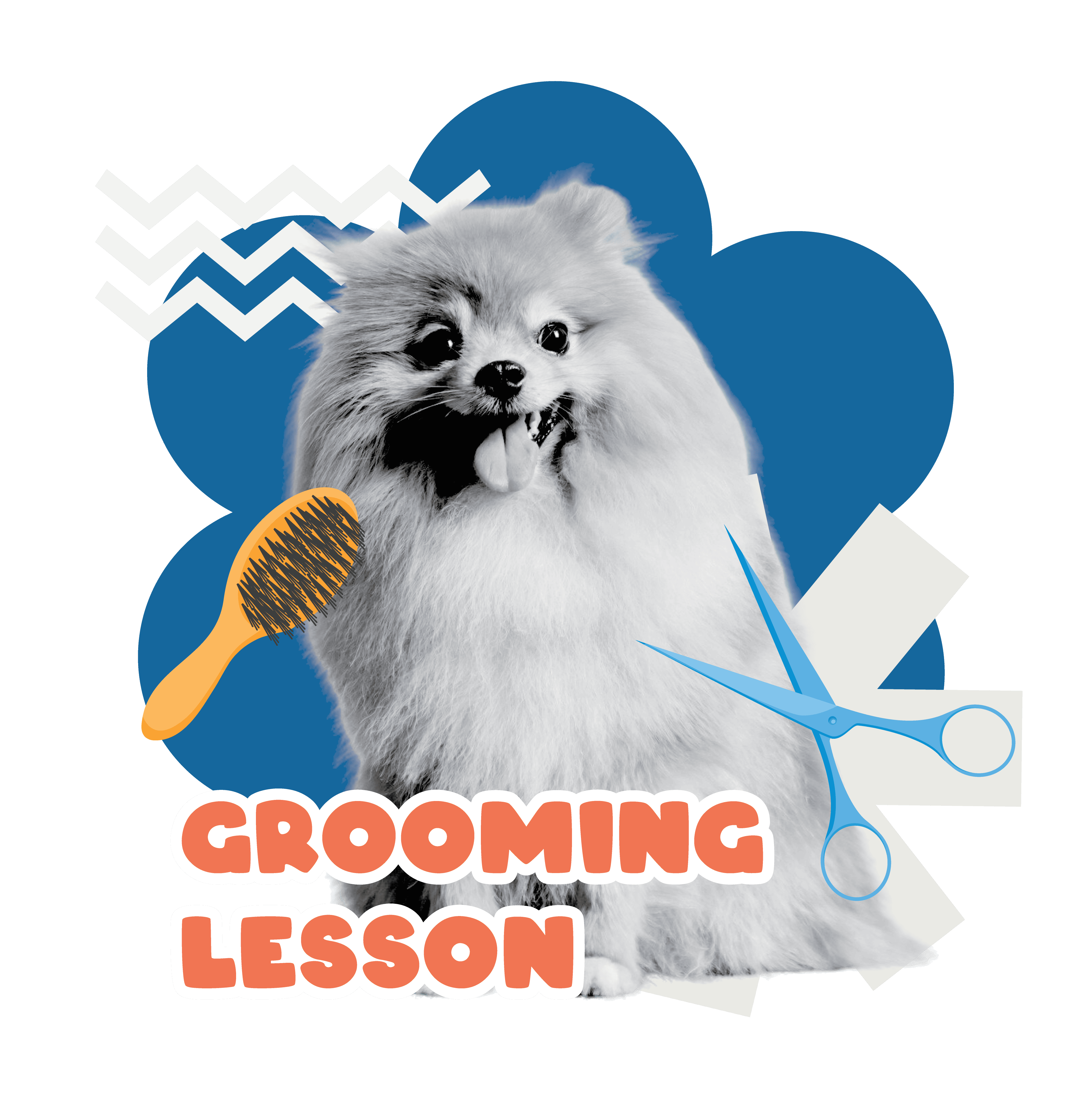 DOG GROOMING